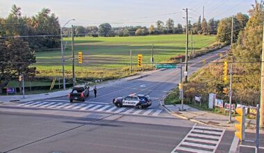Woman found with 'severe injuries' in Vaughan was killed during hit-and-run on Sunday: YRP
