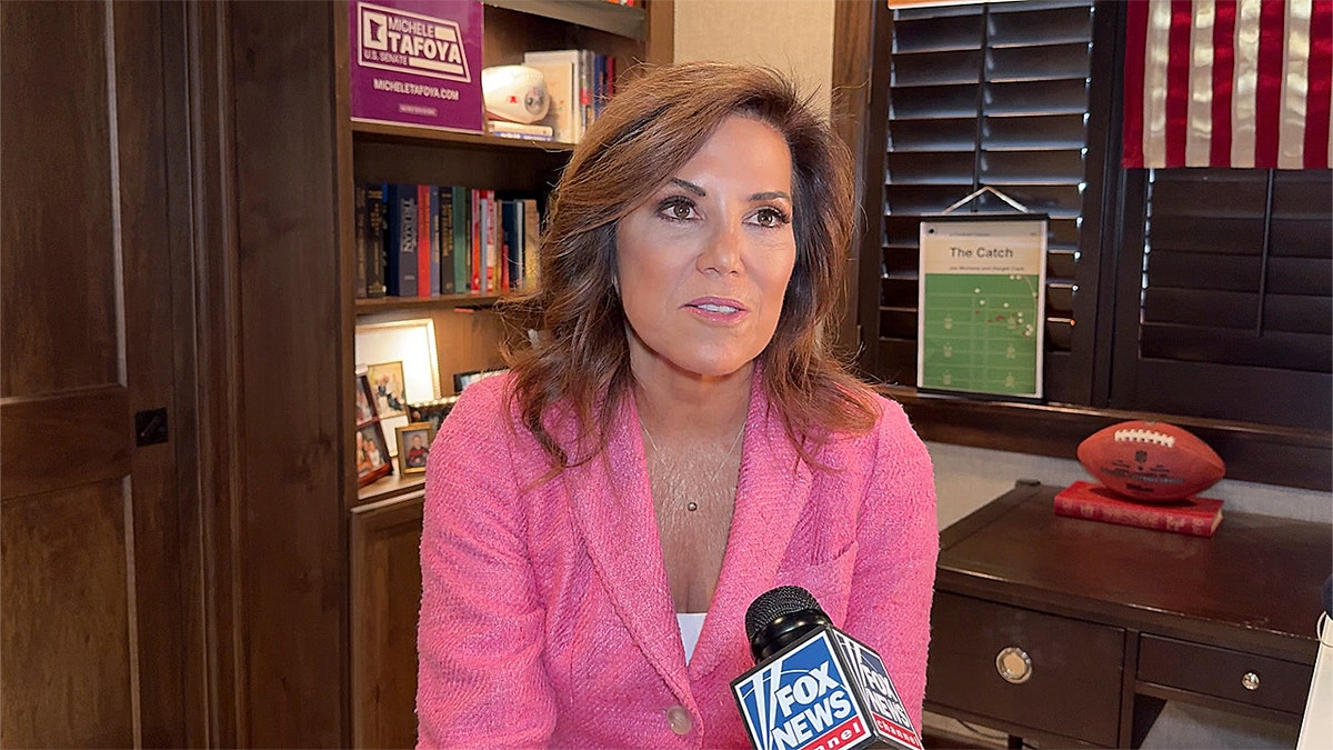 Michele Tafoya Fox News interview