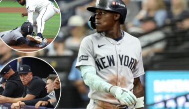 Yankees delivered bitter reminder that these Rays aren't Red Sox