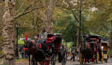 NYC Council votes to ban horse-drawn carriages in Central Park by 2028