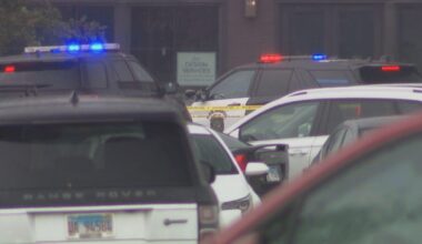 Oakbrook Center mall shooting was result of robbery-gone-wrong planned by Chicago woman, prosecutors say