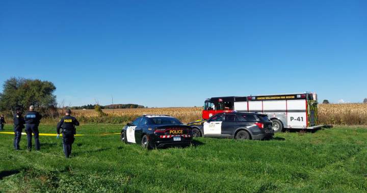 Police investigate small plane crash in field near Fergus, Ont.