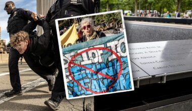 Anti-ICE radicals shut down Brooklyn Bridge, 14 arrested by NYPD