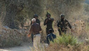 Israeli settlers attack farmers in West Bank pogrom, soldiers hit reporters | Israel-Palestine conflict News