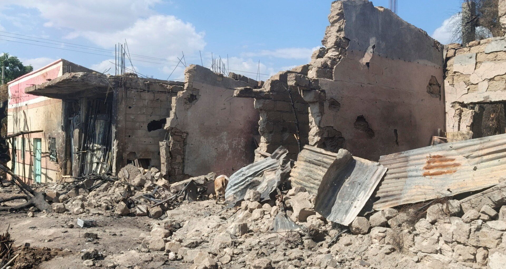 Ethiopian forces expand control in Tigray as militia claims Eritrean losses | Conflict News