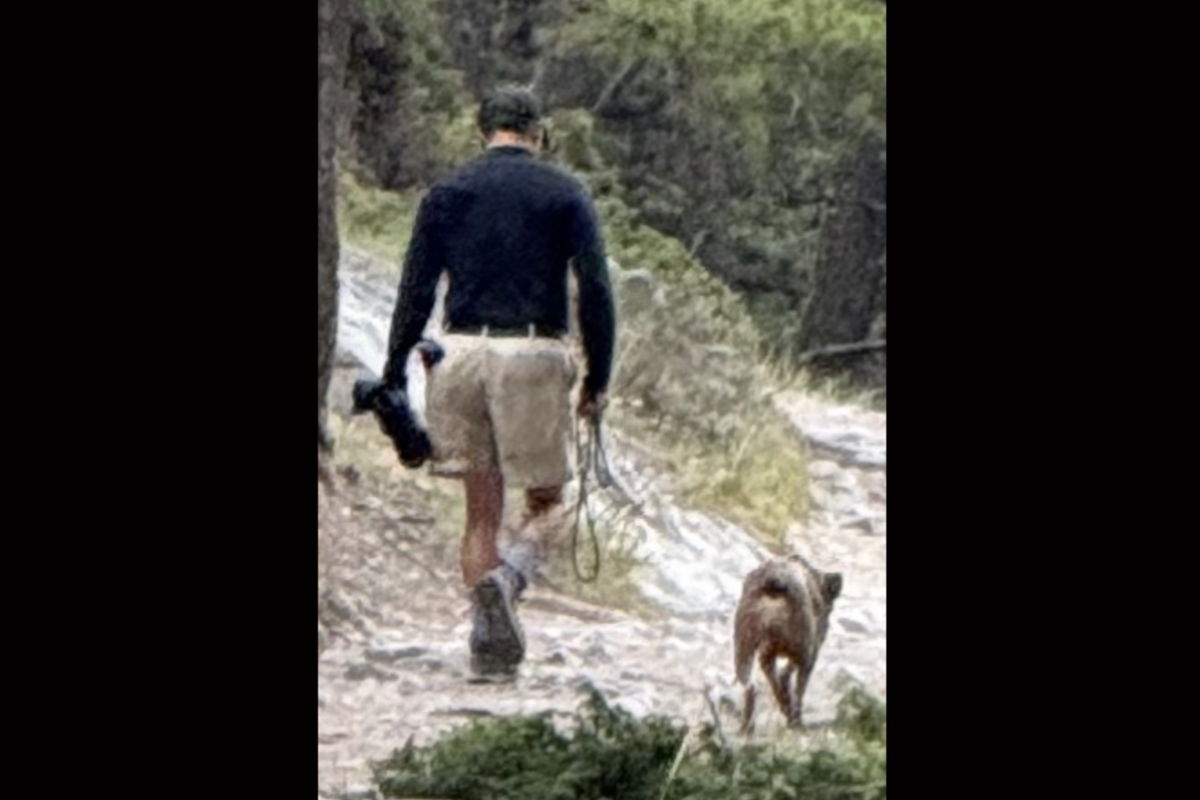 Boss of Banff National Park caught on camera walking dog-off leash - that's illegal in Canada's national parks