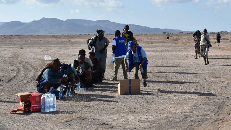 Survivors were assisted by the International Organisation for Migration. Reuters pic