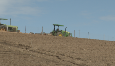 Diesel costs push farmers to scale back as prices hit record highs amid Iran war