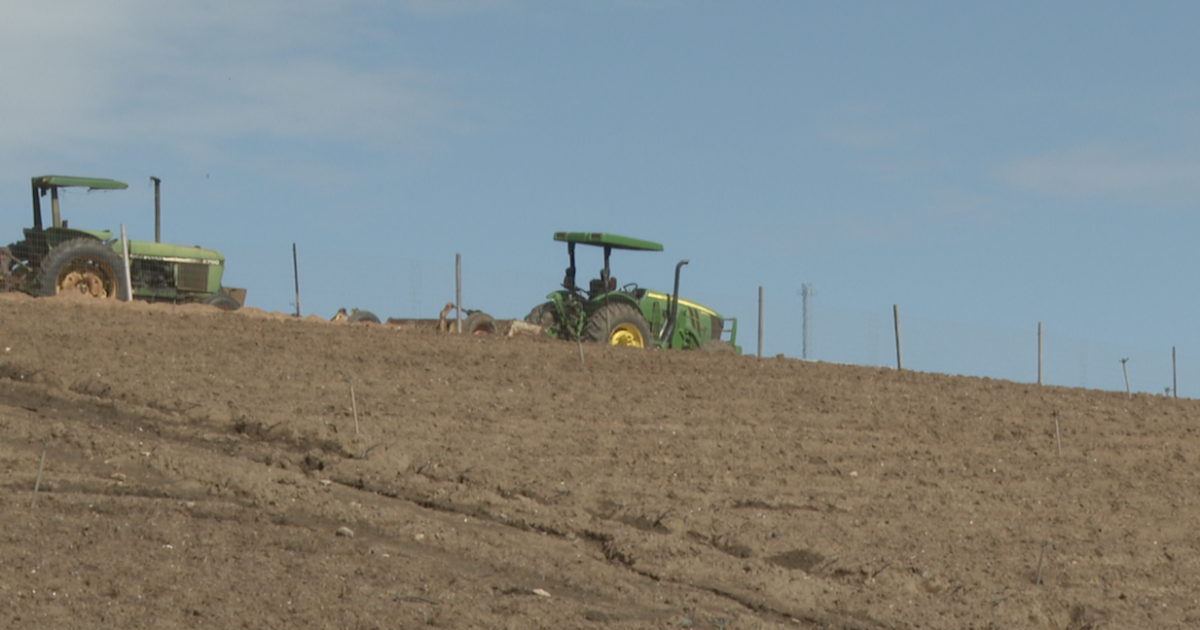 Diesel costs push farmers to scale back as prices hit record highs amid Iran war