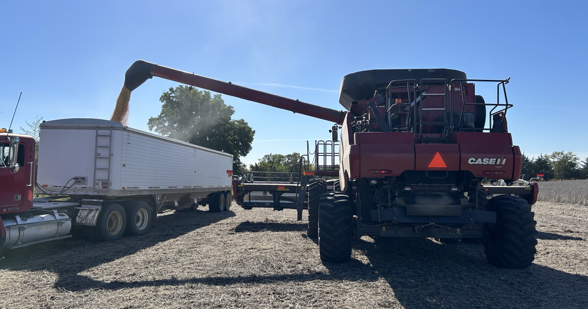 Dyed diesel executive orders aiming to bring relief also causing confusion