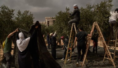 Israeli settlers torch cars and trees in West Bank villages, disrupting Palestinians' olive harvest