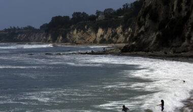 Malibu kayaker reportedly bitten by shark twice, knocked into water