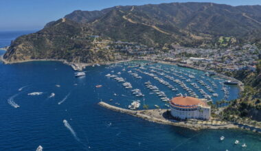 'People screaming for help': Details of Catalina copter crash emerge