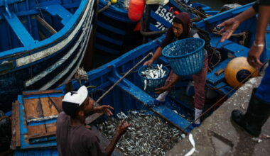The hidden cost of farmed fish: Pollution, forced labor and the depletion of wild fish