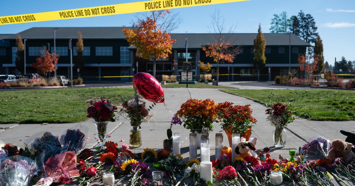 Oregon father latest armed civilian to confront a gunman