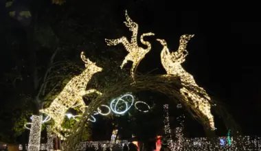 Light festival returns to Tel Aviv with 3 million LEDs - Israel & Jewish News