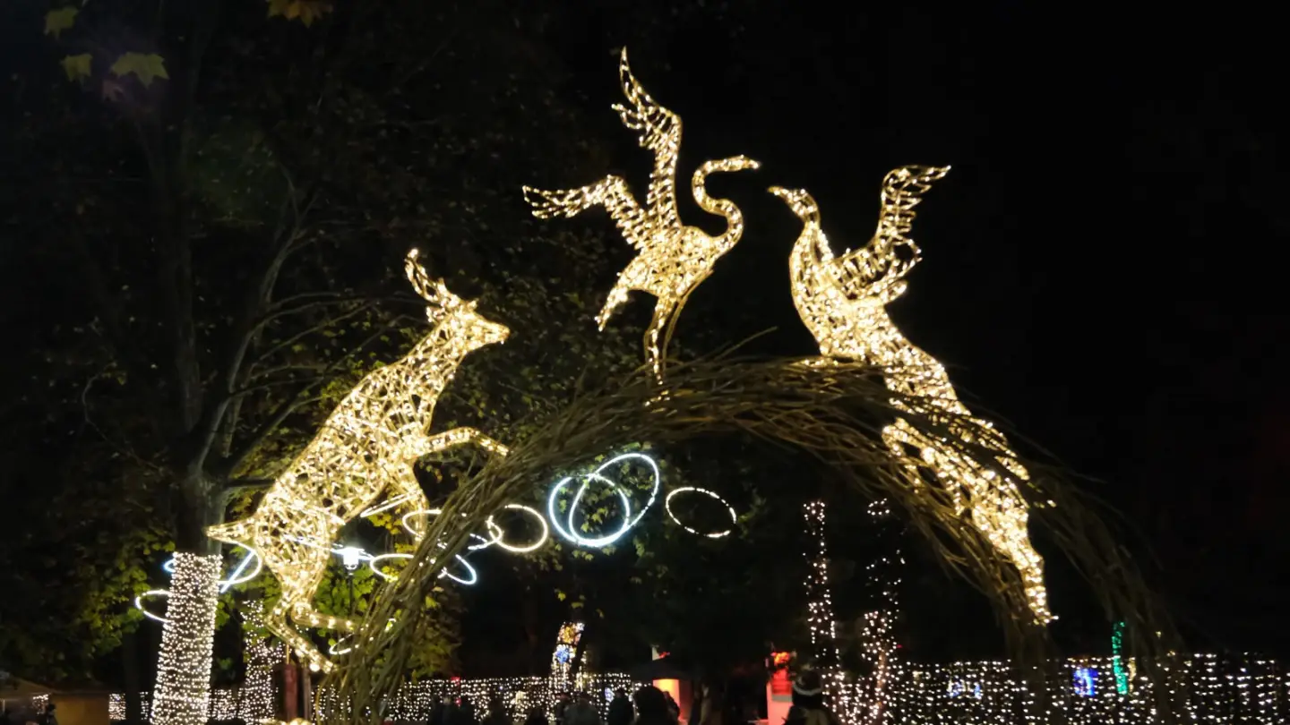 Light festival returns to Tel Aviv with 3 million LEDs - Israel & Jewish News