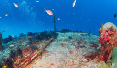 What Might Happen If Iran Makes Good on Threats to Sever Undersea Cables