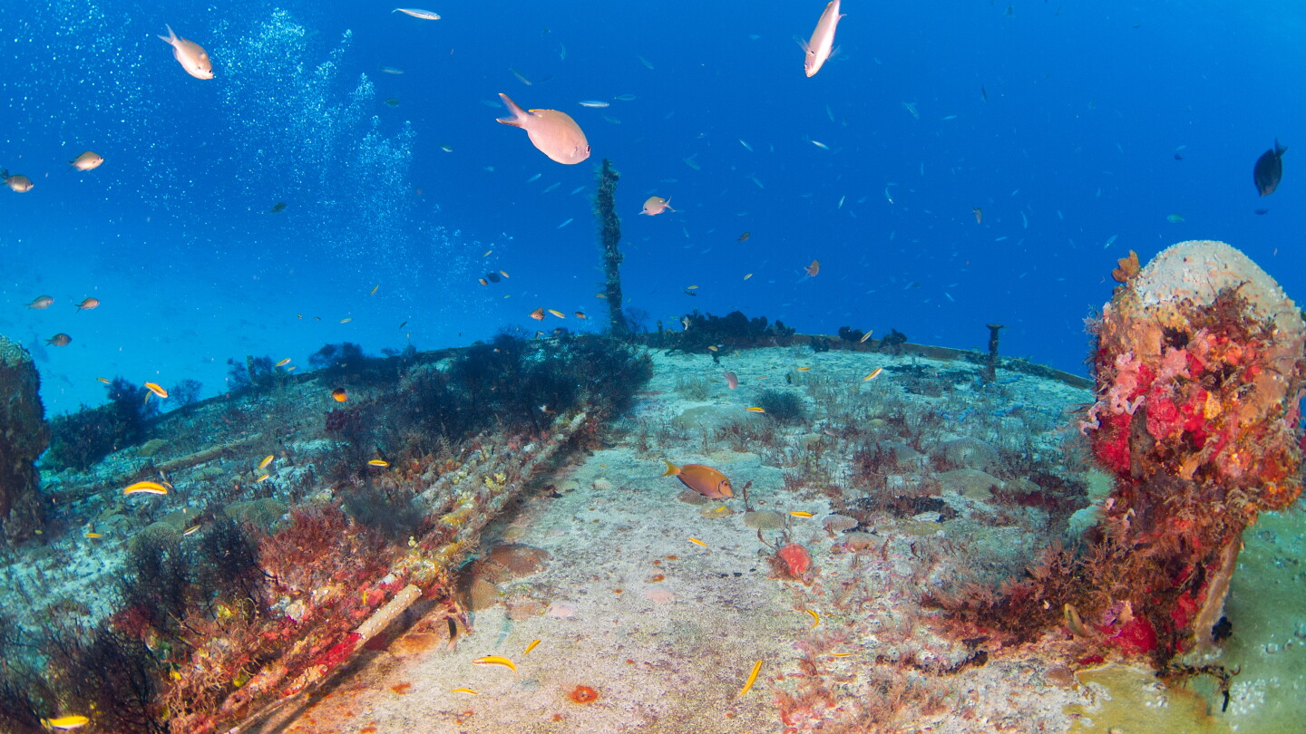 What Might Happen If Iran Makes Good on Threats to Sever Undersea Cables