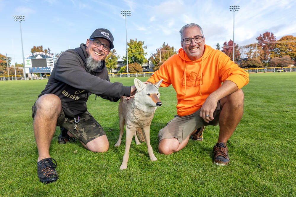 Coyote decoys help keep geese out of Royal Athletic Park