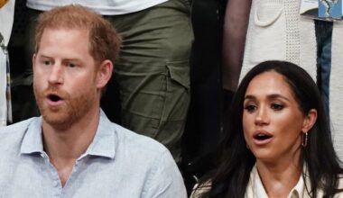 Why Did Prince Harry Cancel Nottingham Walkabout?
