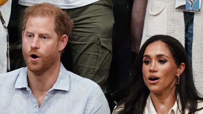 Why Did Prince Harry Cancel Nottingham Walkabout?