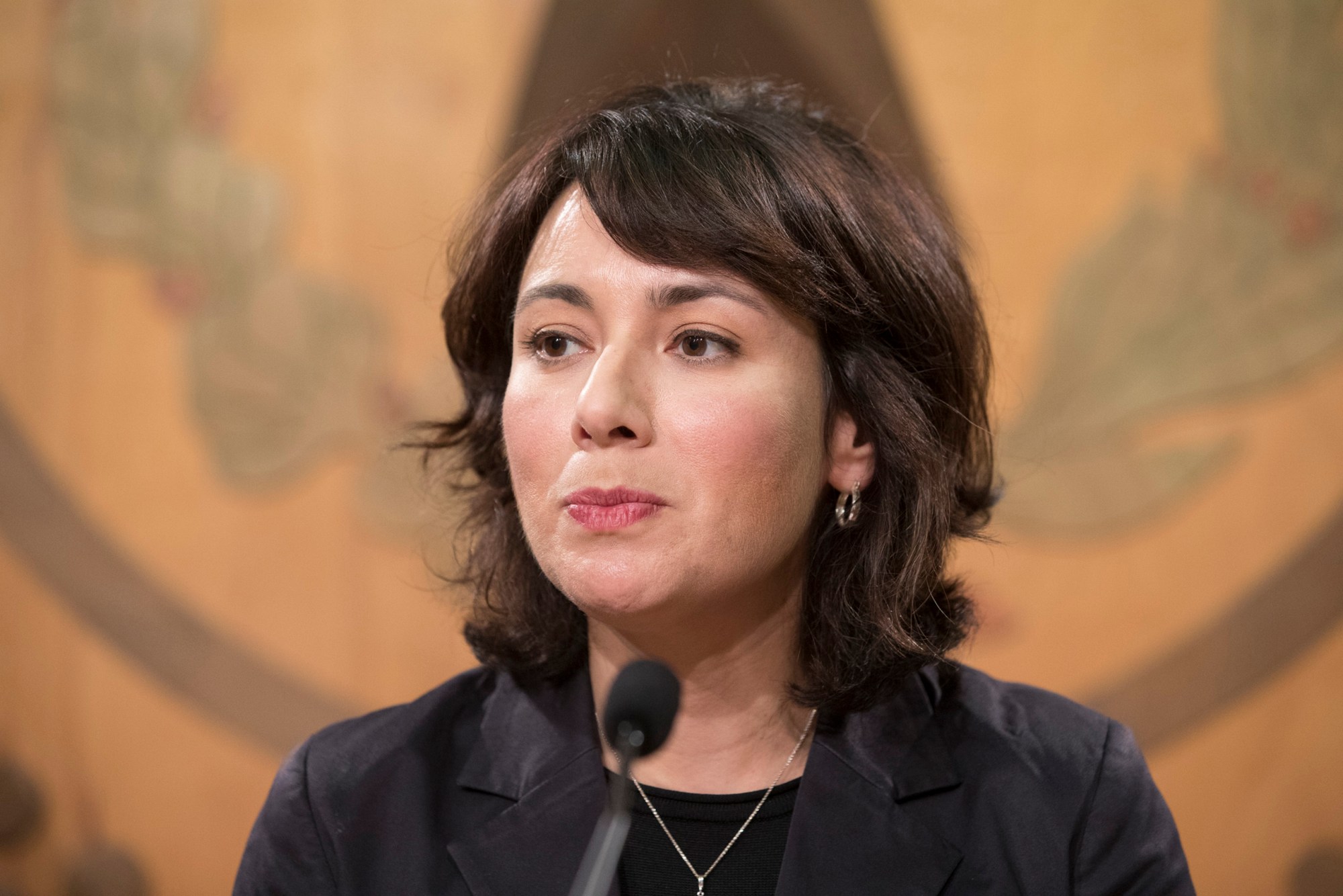 State Rep. Gina Hinojosa, D-Austin, speaks at a press conference at the Capitol in Austin on Jan. 26, 2017