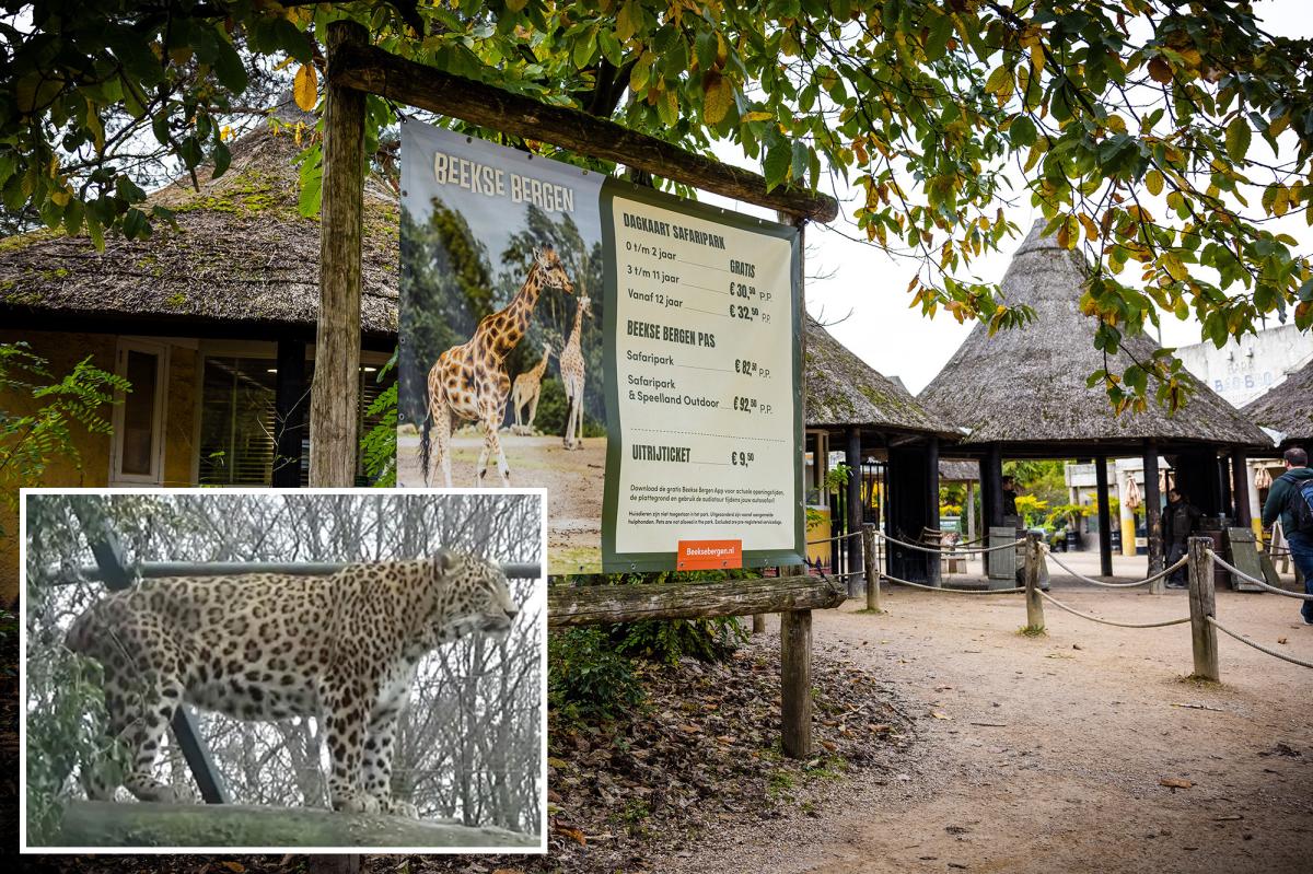 Zookeeper dies after leopard savagely mauls her inside animal enclosure